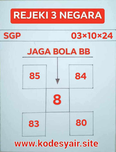 SYAIR SGP VIP